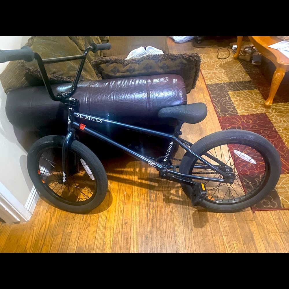 SE Gaudium BMX bike, I took the brakes off